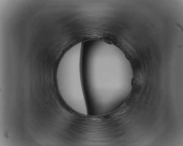 X0000097790512200803070938