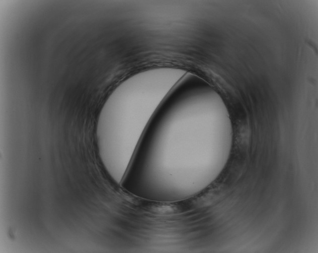 X0000097790513200803070938