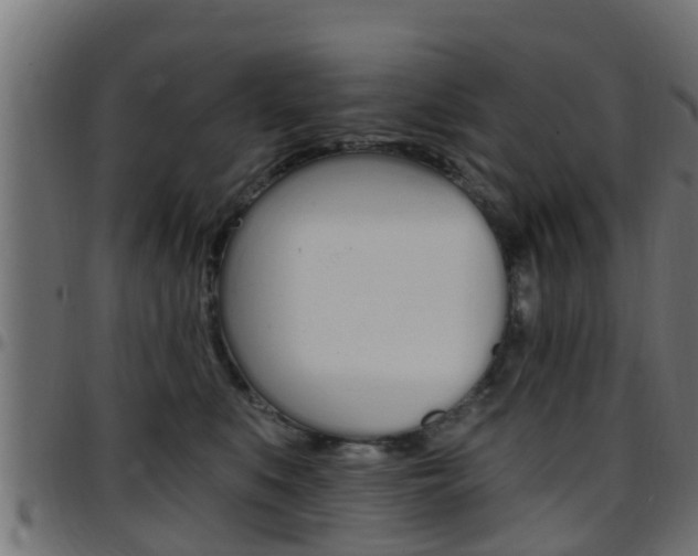 X0000097790519200803070938