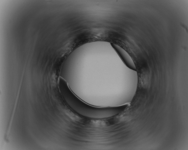 X0000097790520200803070938