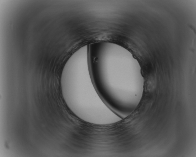 X0000097790521200803070938