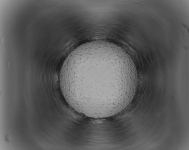 X0000097790523200803070938