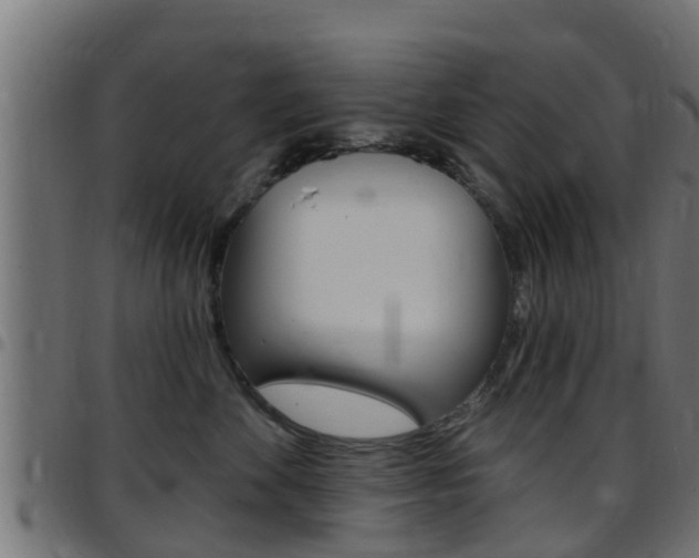 X0000097790524200803070938