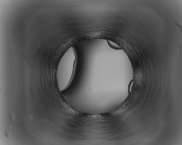 X0000097790525200803070938