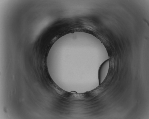 X0000097790526200803070938