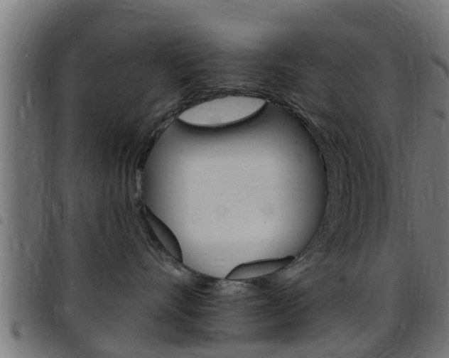 X0000097790528200803070938