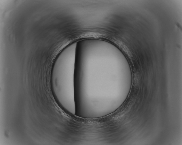X0000097790529200803070937