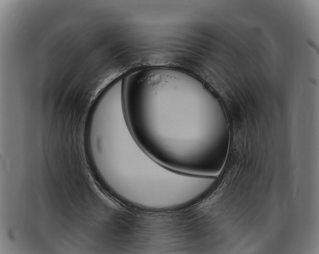 X0000097790530200803070937