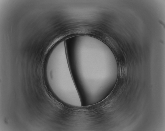 X0000097790531200803070937