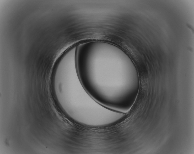 X0000097790532200803070937