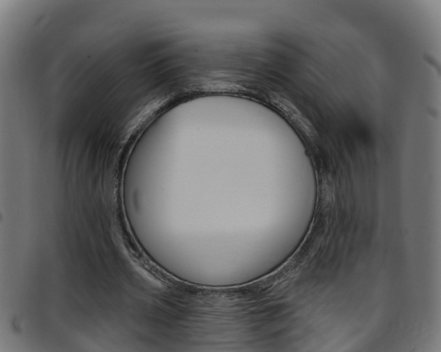 X0000097790533200803070937
