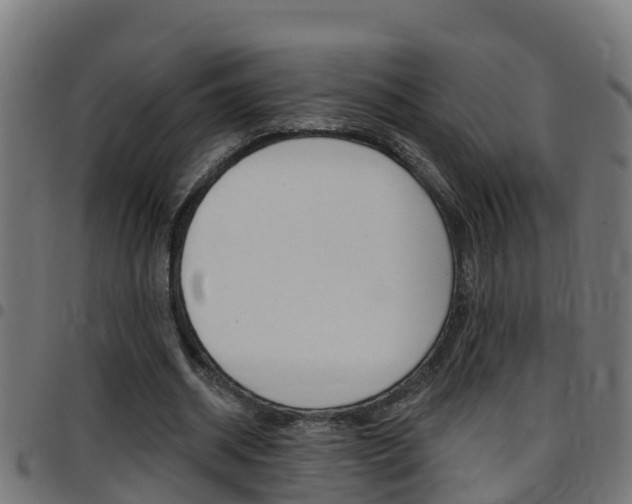 X0000097790534200803070937