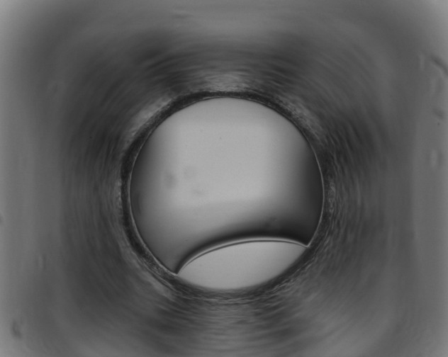 X0000097790535200803070937