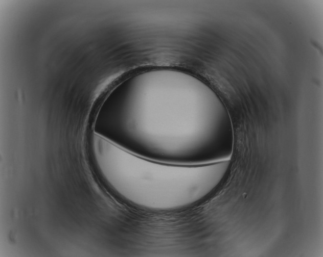 X0000097790536200803070937