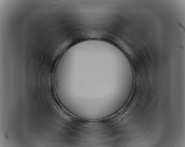 X0000097790537200803070937