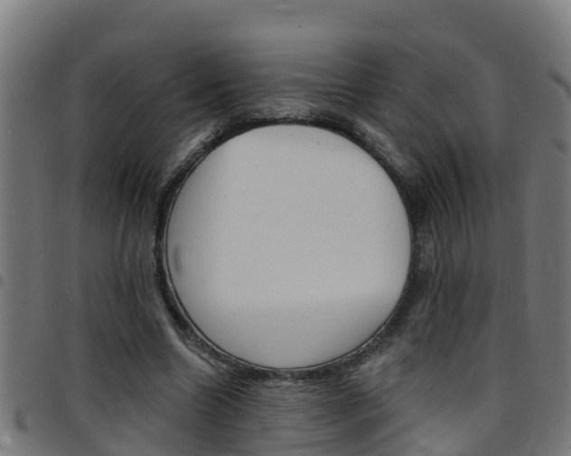 X0000097790538200803070937