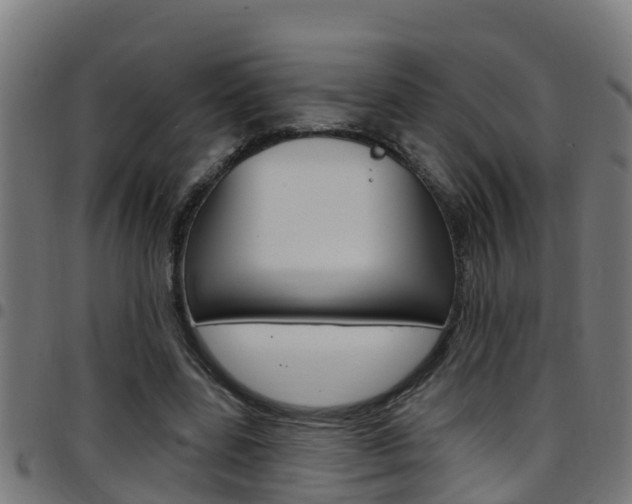 X0000097790539200803070937