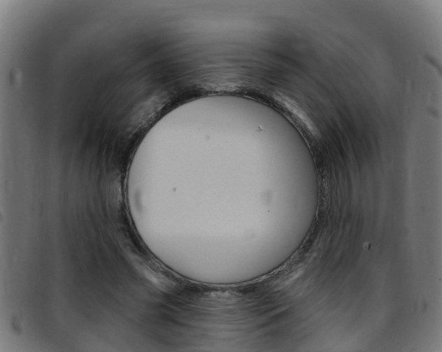 X0000097790541200803070937