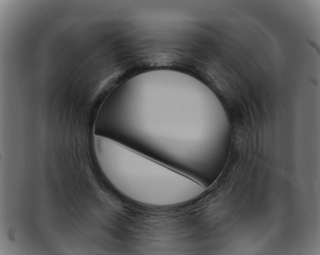 X0000097790543200803070937