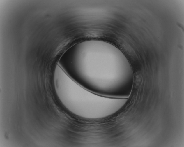 X0000097790544200803070937