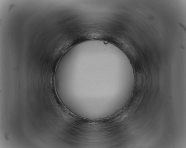 X0000097790545200803070937