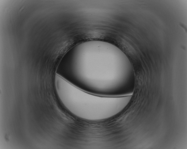 X0000097790546200803070937