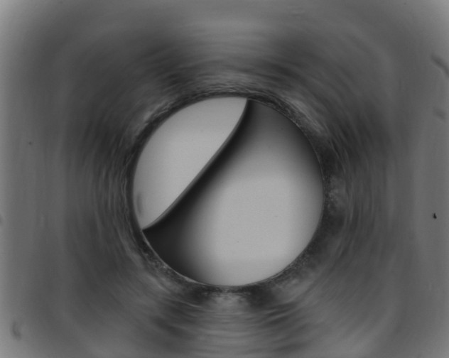 X0000097790547200803070937
