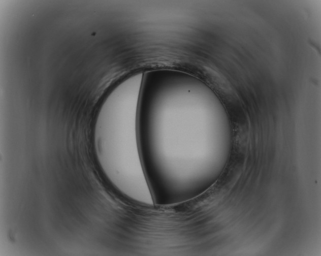 X0000097790548200803070937