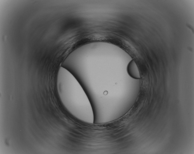 X0000097790549200803070937