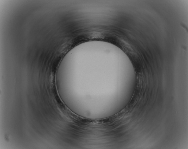 X0000097790550200803070937