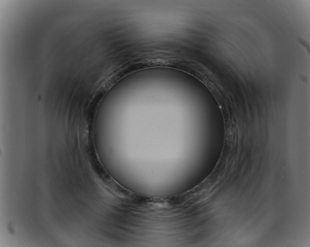 X0000097790552200803070938