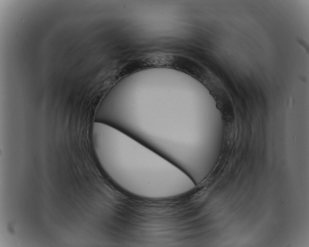X0000097790553200803070938