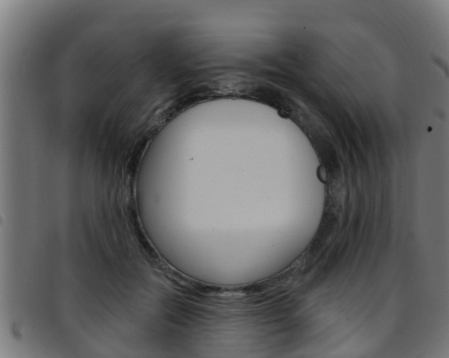X0000097790554200803070938