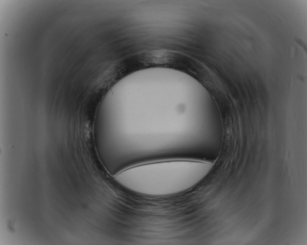 X0000097790555200803070938