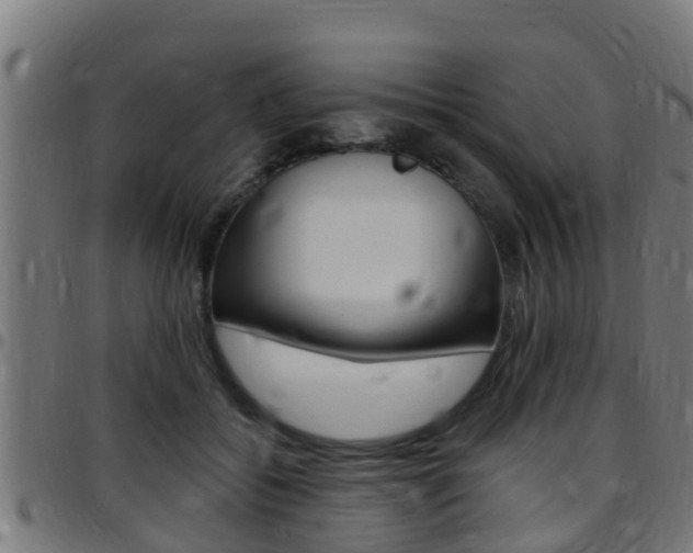 X0000097790556200803070938
