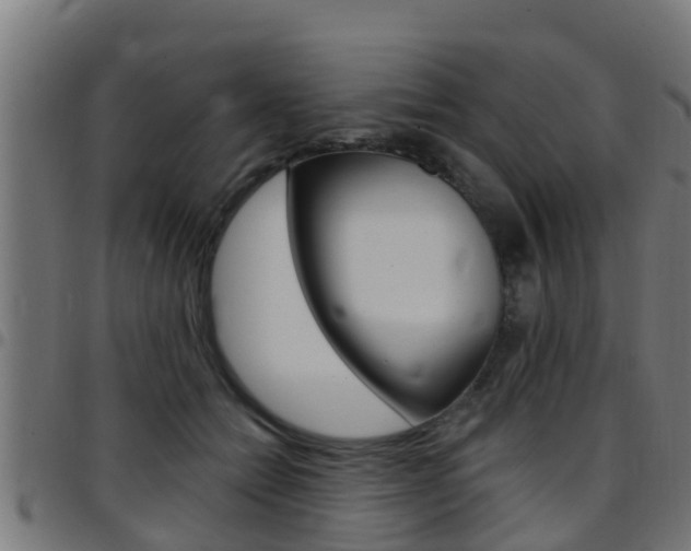 X0000097790558200803070938
