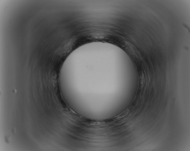 X0000097790559200803070938