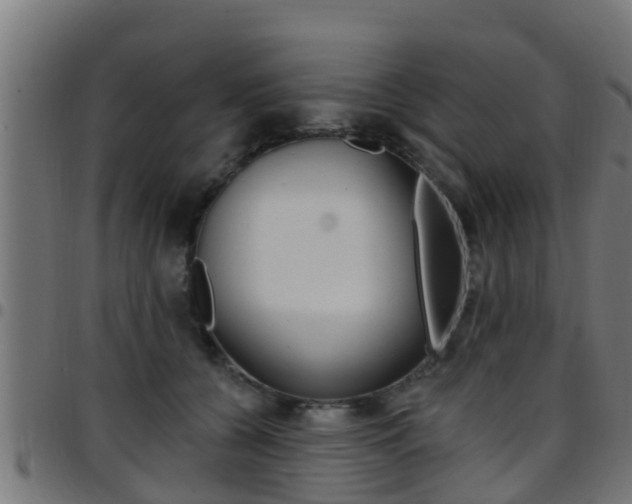 X0000097790560200803070938