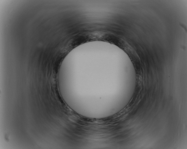 X0000097790561200803070938