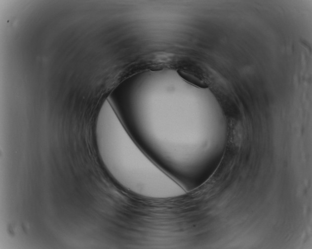 X0000097790562200803070938