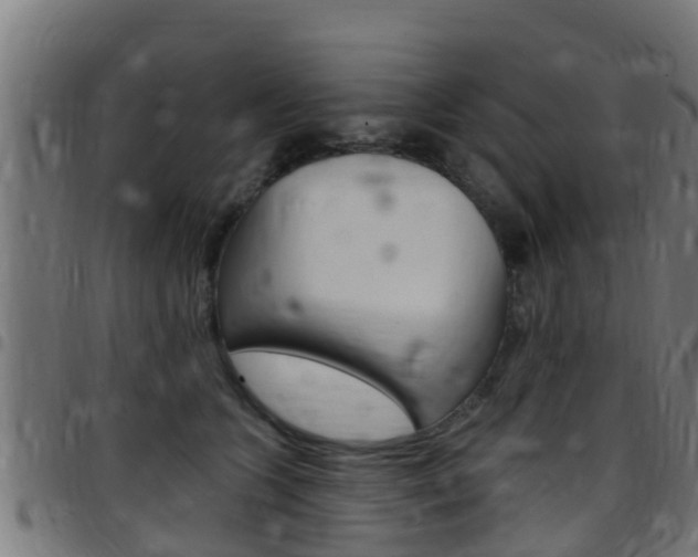 X0000097790563200803070938