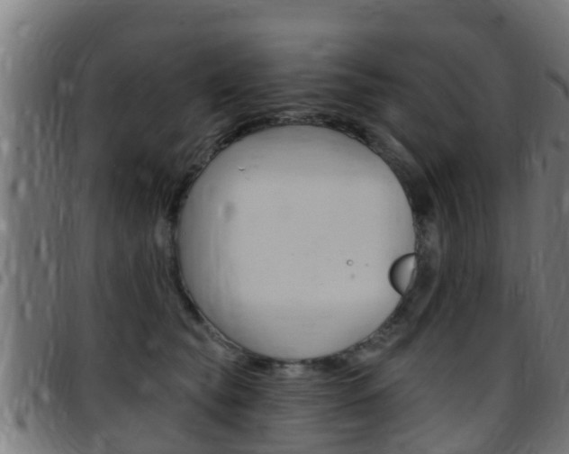 X0000097790565200803070938