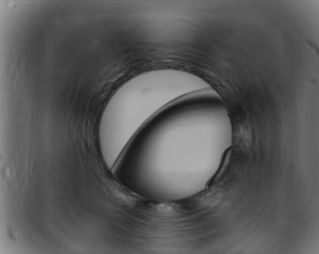 X0000097790566200803070938