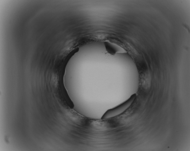 X0000097790568200803070938
