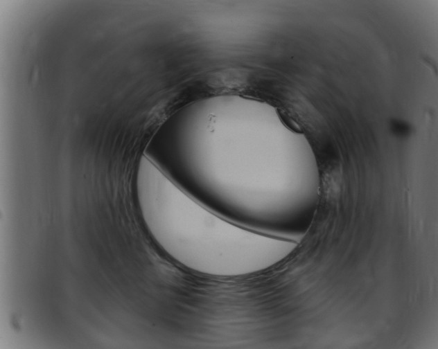 X0000097790570200803070938