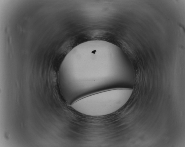 X0000097790571200803070938