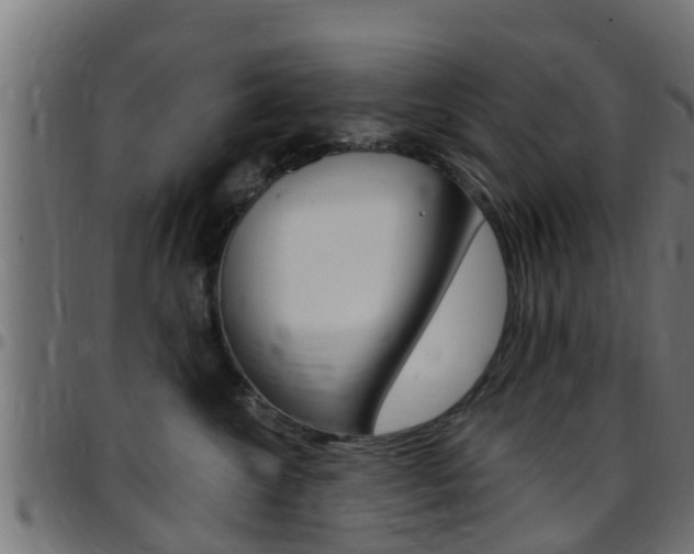 X0000097790572200803070938