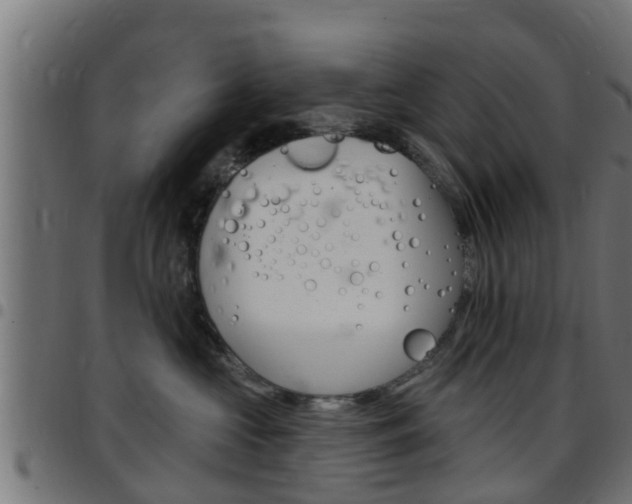 X0000097790573200803070938
