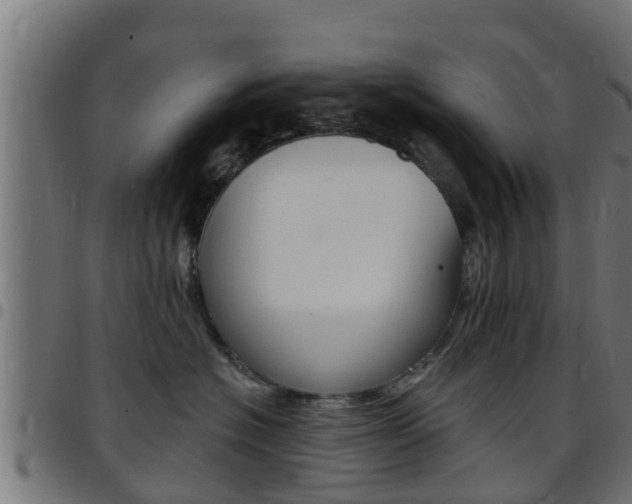 X0000097790574200803070938