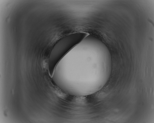 X0000097790576200803070938